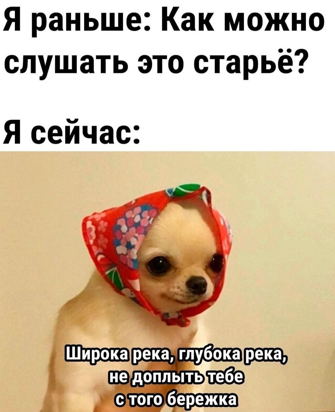 Смешные мемы фразы на каждый день мем с котами подруги переписки с парнем storis открытка подарок Смешные мемы фразы на каждый день мем с котами подруги переписки с парнем storis открытка подарок