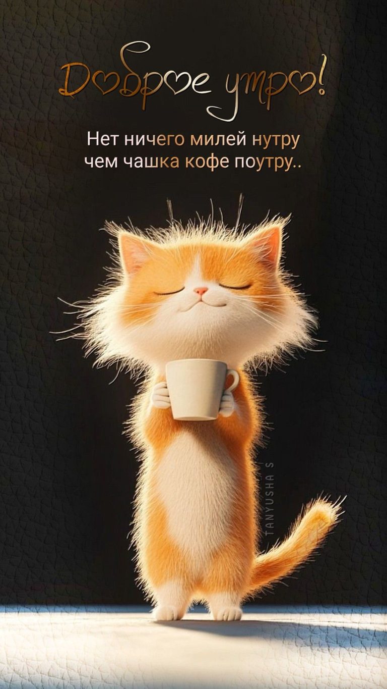 ДОБРОЕ УТРО!☀️🐈 ДОБРОЕ УТРО!☀️🐈