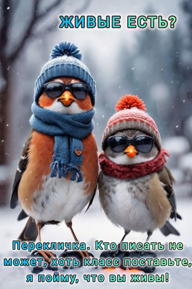 Новогодняя перекличка 😉 Новогодняя перекличка 😉