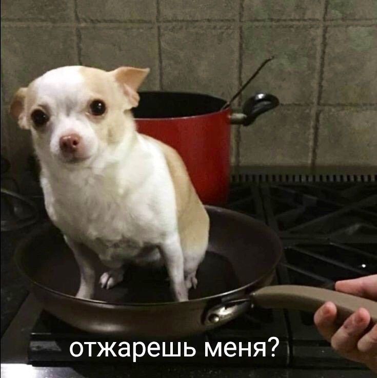 Отжарешь меня? Отжарешь меня?