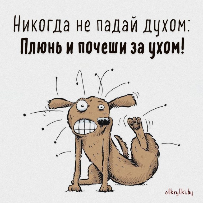 ВЕСЕЛЫЕ картинки для поддержки близкого человека ВЕСЕЛЫЕ картинки для поддержки близкого человека