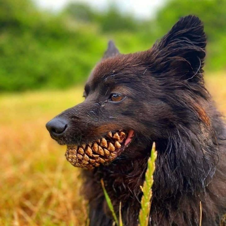 19 Fotos con perspectivas confusas que engañaron a nuestros ojos 19 Fotos con perspectivas confusas que engañaron a nuestros ojos