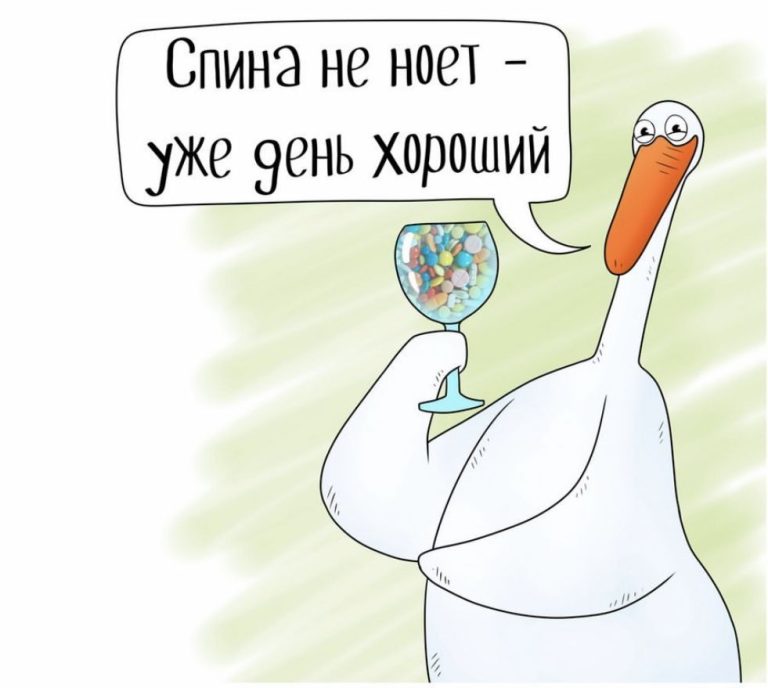 Гусь гагарик Гусь гагарик