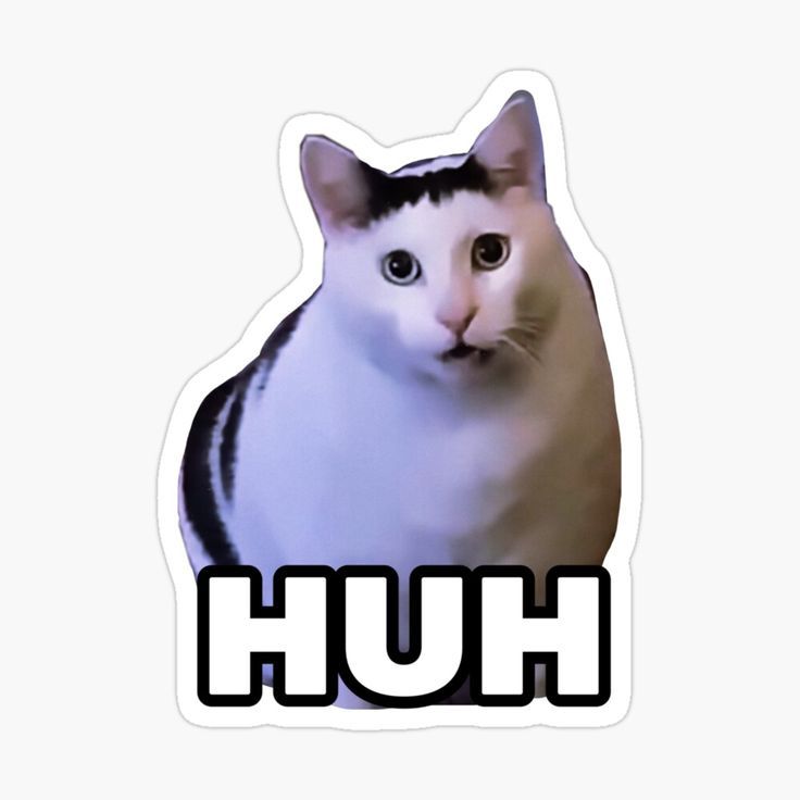 “HUH Cat” Sticker for Sale by Lizgzalez in 2024 | Cat stickers, Cat memes, Cute laptop… “HUH Cat” Sticker for Sale by Lizgzalez in 2024 | Cat stickers, Cat memes, Cute laptop…