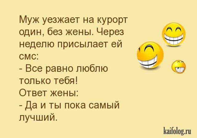 Анеки (35 анекдотов) Анеки (35 анекдотов)