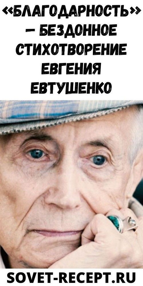 «Благодарность» — бездонное стихотворение Евгения Евтушенко | interesnoe «Благодарность» — бездонное стихотворение Евгения Евтушенко | interesnoe