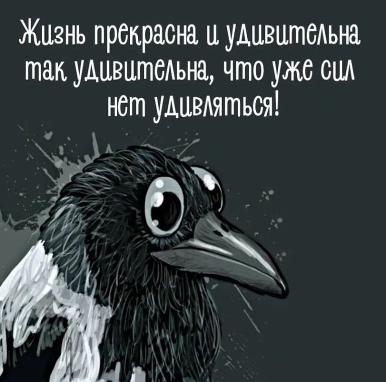 Женский юмор Женский юмор
