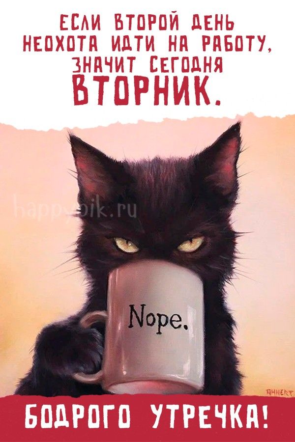 Картинки Доброе утро вторника – скачать Картинки Доброе утро вторника – скачать