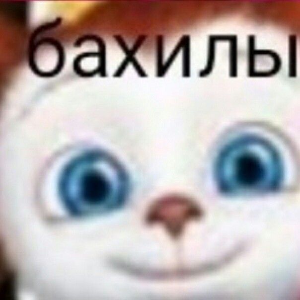 БаХиЛы😂