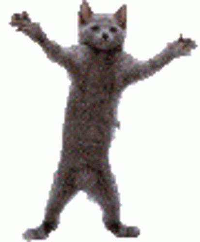 Cat Dancing Sticker – Cat Dancing Dance – Ищите GIF-файлы и обменивайтесь ими Cat Dancing Sticker – Cat Dancing Dance – Ищите GIF-файлы и обменивайтесь ими