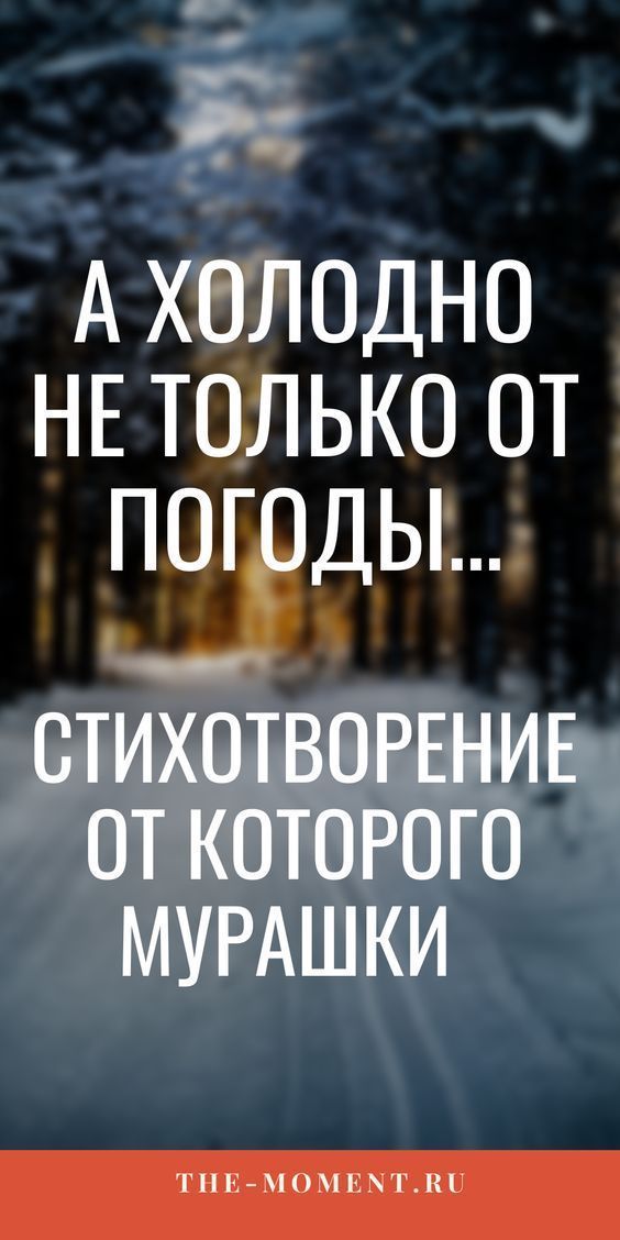 «А холодно не только от погоды…» — Очень глубокое, замечательное стихотворение! «А холодно не только от погоды…» — Очень глубокое, замечательное стихотворение!