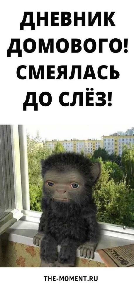 Дневник Домового! Смеялась До Слёз! | полезные идеи Дневник Домового! Смеялась До Слёз! | полезные идеи