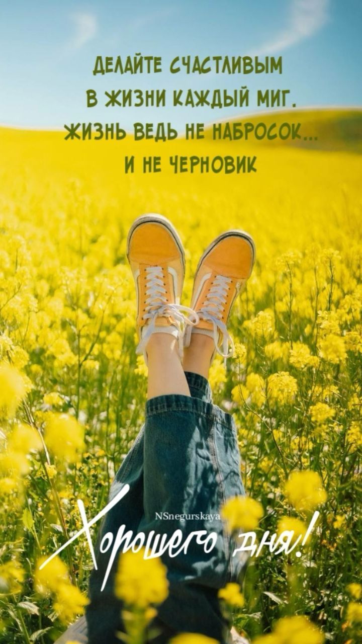 хорошего дня хорошего дня