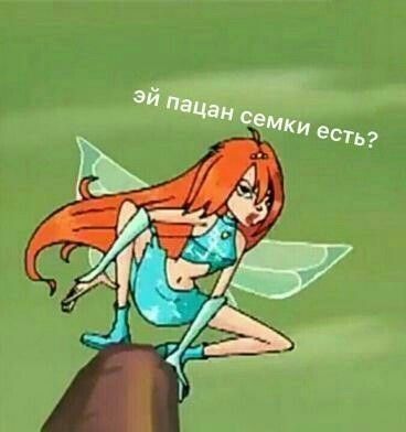 чист блуум чист блуум