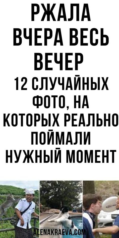 12 случайных фото, на которых реально поймали нужный момент 12 случайных фото, на которых реально поймали нужный момент