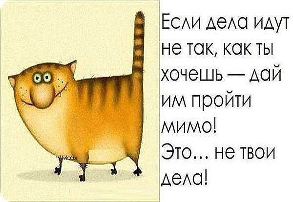 УМНЫЕ ФРАЗОЧКИ С ЮМОРОМ УМНЫЕ ФРАЗОЧКИ С ЮМОРОМ