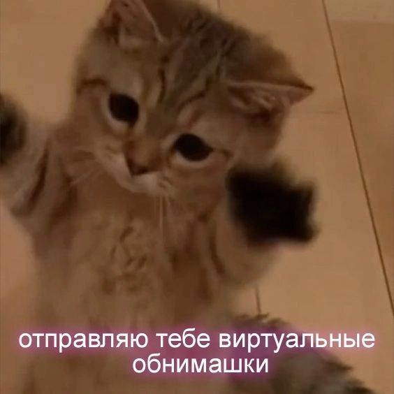 прикольчики прикольчики