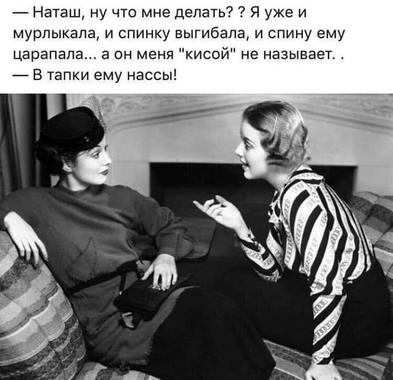 Веселые истории о нас. №59 – Ветер Вольный — Веселые истории о нас. №59 – Ветер Вольный —
