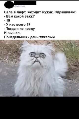 Села в лифт, заходит мужик. Спрашиваю: Вам какой этаж? 19 У нас всего 17 Тогда я не поеду И вышел. Понедельник день тяжелый – АйДаПрикол Села в лифт, заходит мужик. Спрашиваю: Вам какой этаж? 19 У нас всего 17 Тогда я не поеду И вышел. Понедельник день тяжелый – АйДаПрикол
