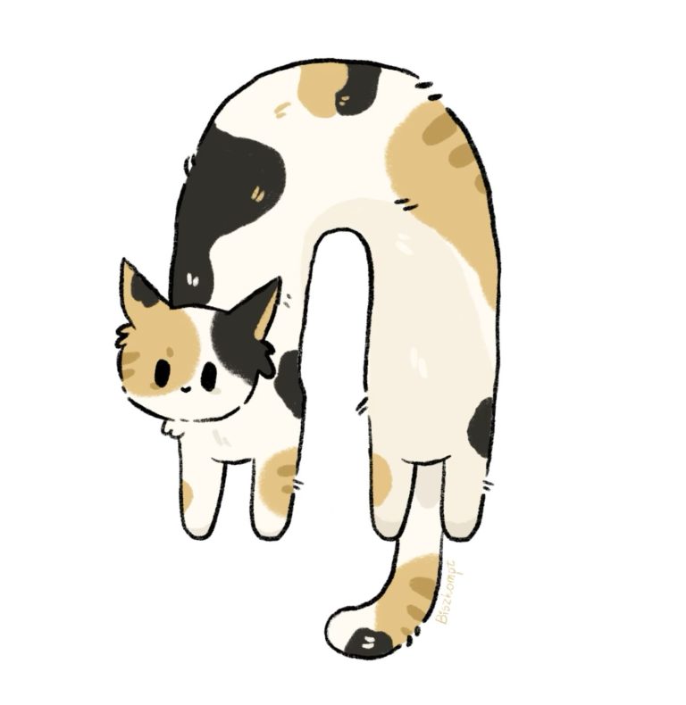 Super long cat Super long cat