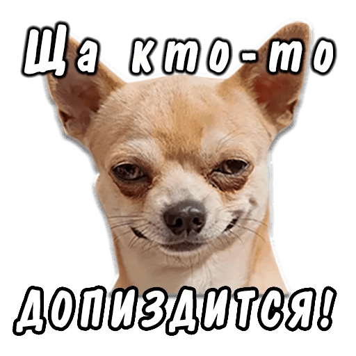 Набор стикеров для Telegram «Животные» Набор стикеров для Telegram «Животные»