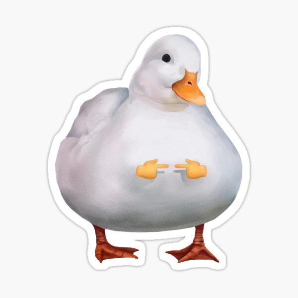 “Cute Duck Meme” Sticker for Sale by Mashz “Cute Duck Meme” Sticker for Sale by Mashz