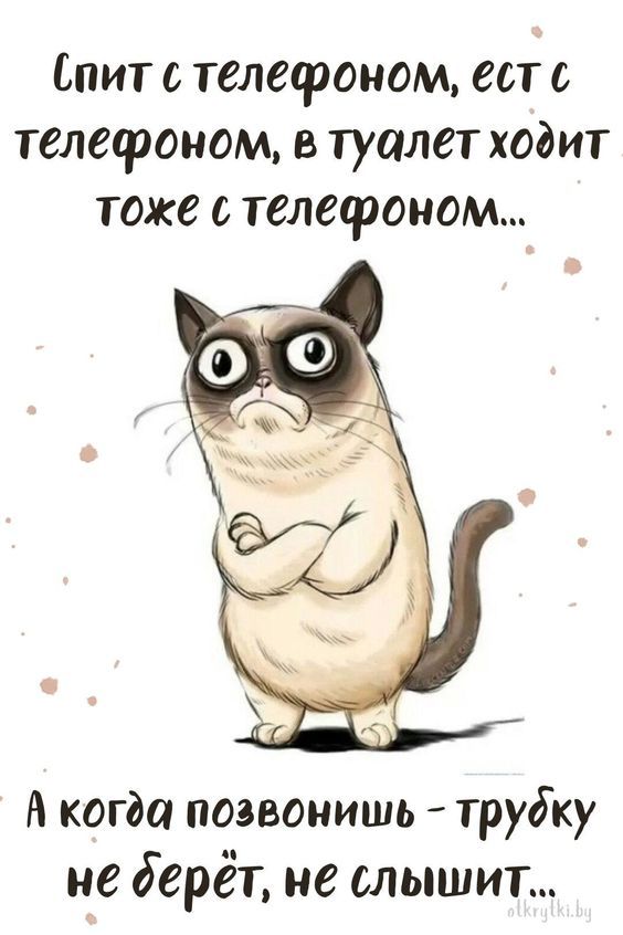 Коллекция забавных ВЕСЁЛЫХ картинок на разные темы Коллекция забавных ВЕСЁЛЫХ картинок на разные темы