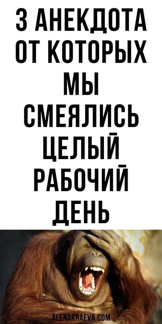 Самые лучшая подборка юмора, смешно до слез | Дневник Счастье Самые лучшая подборка юмора, смешно до слез | Дневник Счастье