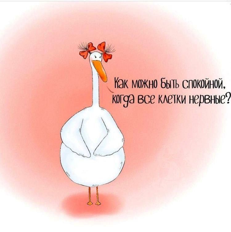 Как можно быть спокойной (открытка 1171): Бесплатные картинки • Открытки Топ Как можно быть спокойной (открытка 1171): Бесплатные картинки • Открытки Топ