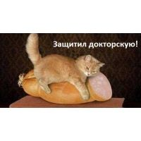 Защитил докторскую! Защитил докторскую!