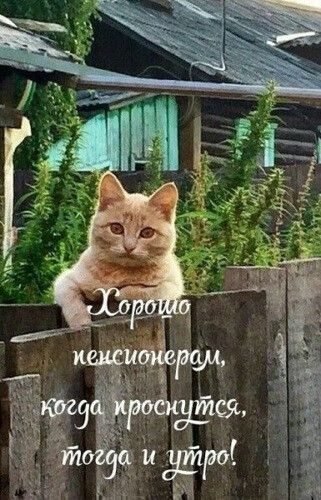 Ремонт Компьютеров – Заметки | OK.RU Ремонт Компьютеров – Заметки | OK.RU