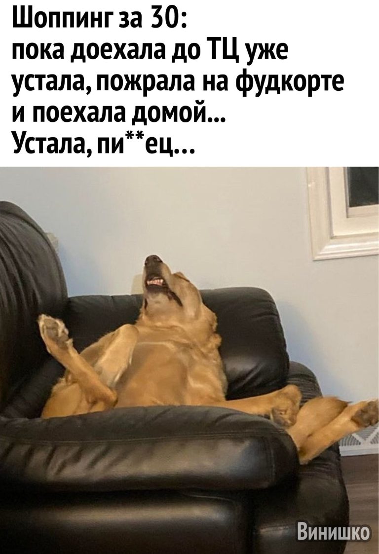 Смешные мемы фразы на каждый день мем с котами подруги переписки с парнем storis открытка подарок