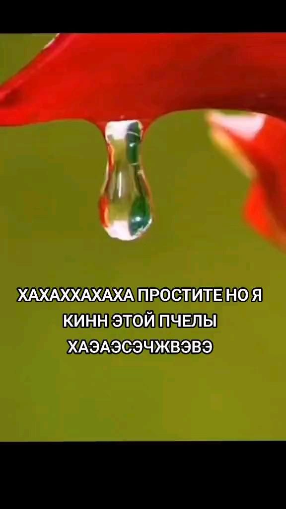 (мат громкий в конце) (мат громкий в конце)