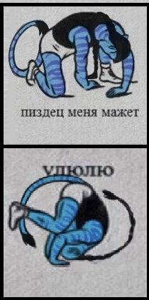 Есть два гендера… А вы какой? Есть два гендера… А вы какой?