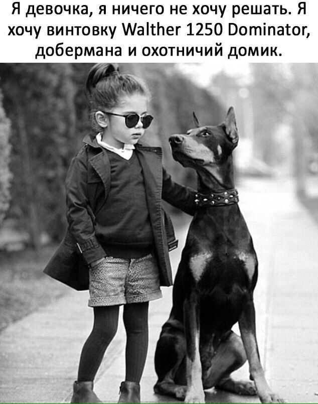 Фотосессия с доберманом Фотосессия с доберманом