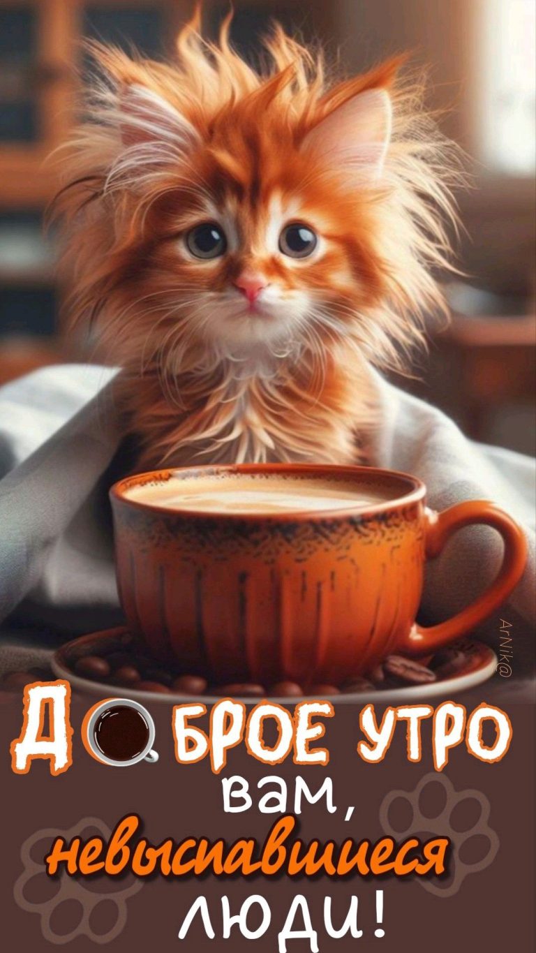 Доброе утро! 😍🙃😺 Доброе утро! 😍🙃😺