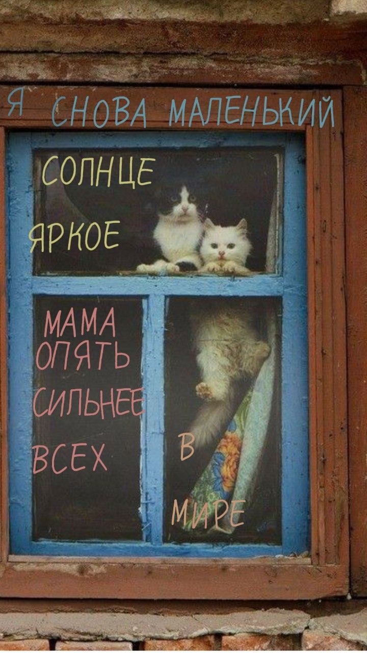 Дайте танк (!)