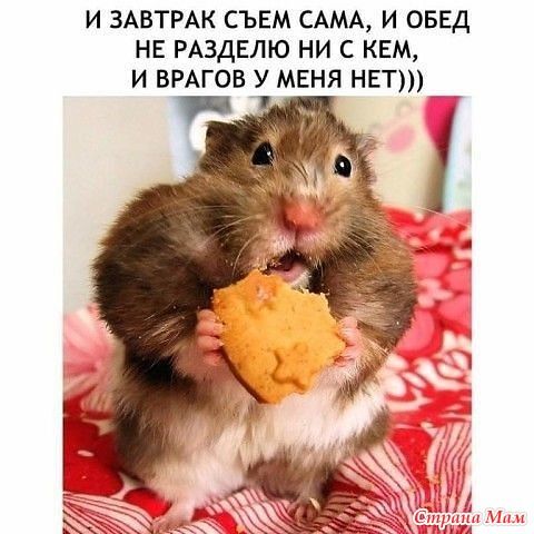 Чисто женское.3. Чисто женское.3.
