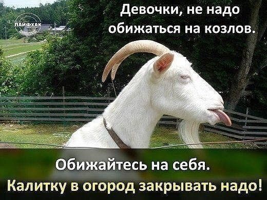 УМНЫЕ ФРАЗОЧКИ С ЮМОРОМ УМНЫЕ ФРАЗОЧКИ С ЮМОРОМ