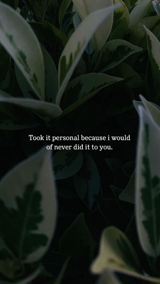 Quote