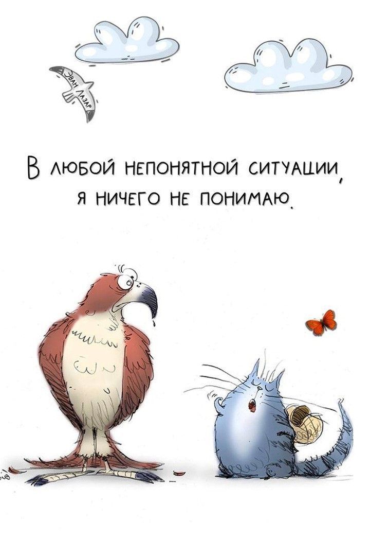 В любой непонятной ситуации (открытка 1056): Бесплатные картинки • Открытки Топ В любой непонятной ситуации (открытка 1056): Бесплатные картинки • Открытки Топ