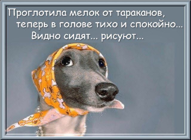 Вы не поверите Вы не поверите