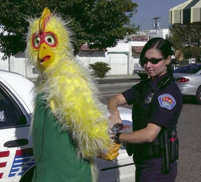 27 Pics That Require an Explanation. 27 Pics That Require an Explanation.