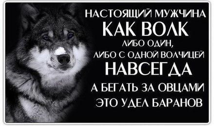 Открытка, картинка, настоящий мужчина как волк. Открытки Открытка, картинка, фразы, фраза, фразочка, фразочки, прикол, прикольная открытка, цитата, цитаты, слова о женщинах, позитив, позитивные открытки, прикольные картинки скачать бесплатно онлайн Открытка, картинка, настоящий мужчина как волк. Открытки Открытка, картинка, фразы, фраза, фразочка, фразочки, прикол, прикольная открытка, цитата, цитаты, слова о женщинах, позитив, позитивные открытки, прикольные картинки скачать бесплатно онлайн