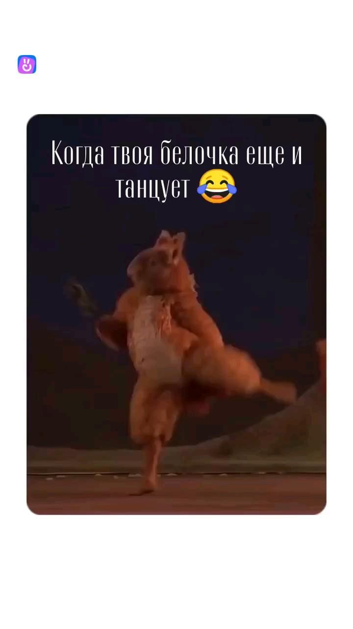 Белка танцует