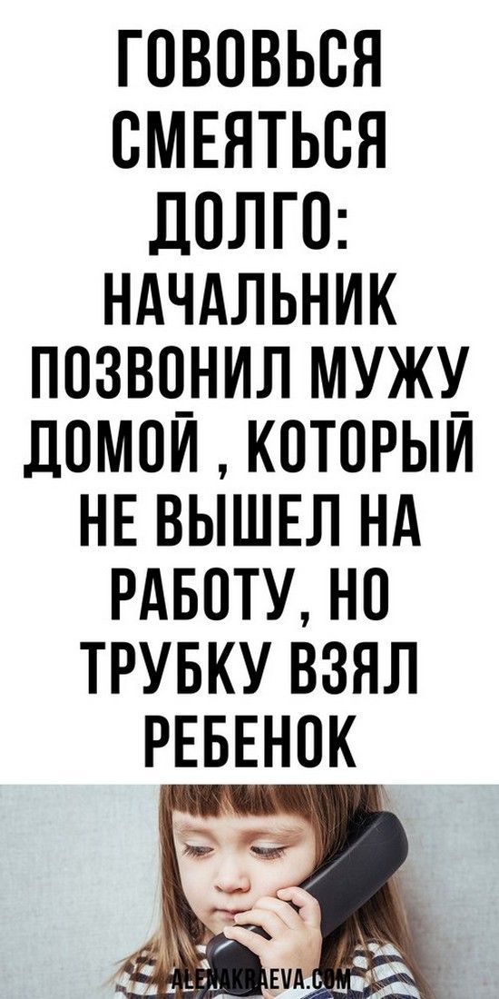 Начальник позвонил сотруднику домой , который не вышел на работу, юмор Начальник позвонил сотруднику домой , который не вышел на работу, юмор