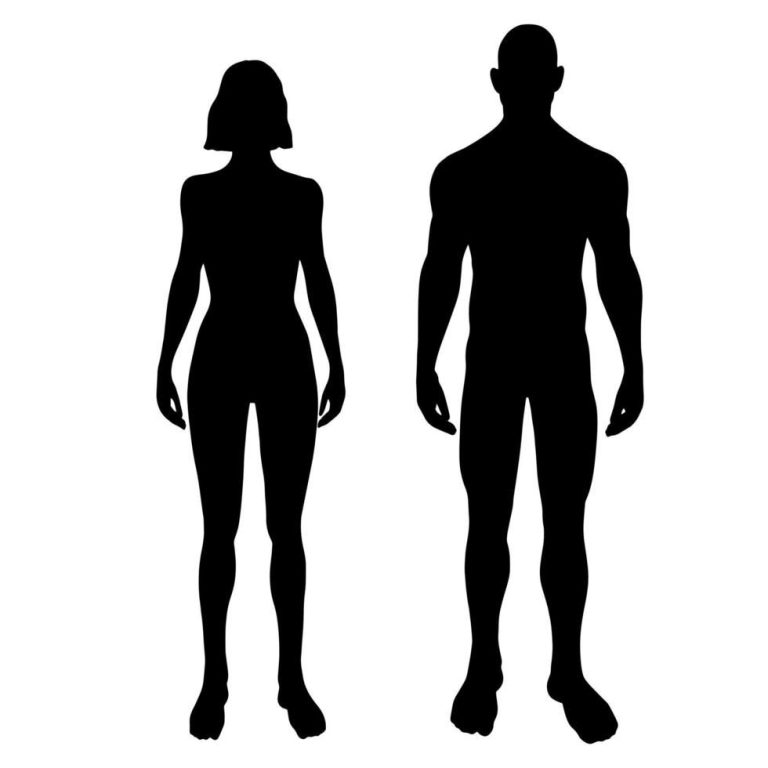 Man and woman standing silhouettes in front view. Vector illustration of body male and female Man and woman standing silhouettes in front view. Vector illustration of body male and female
