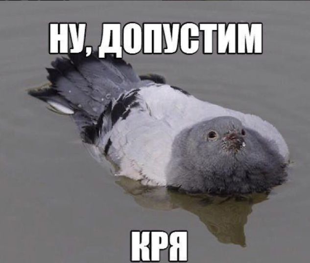мем мем