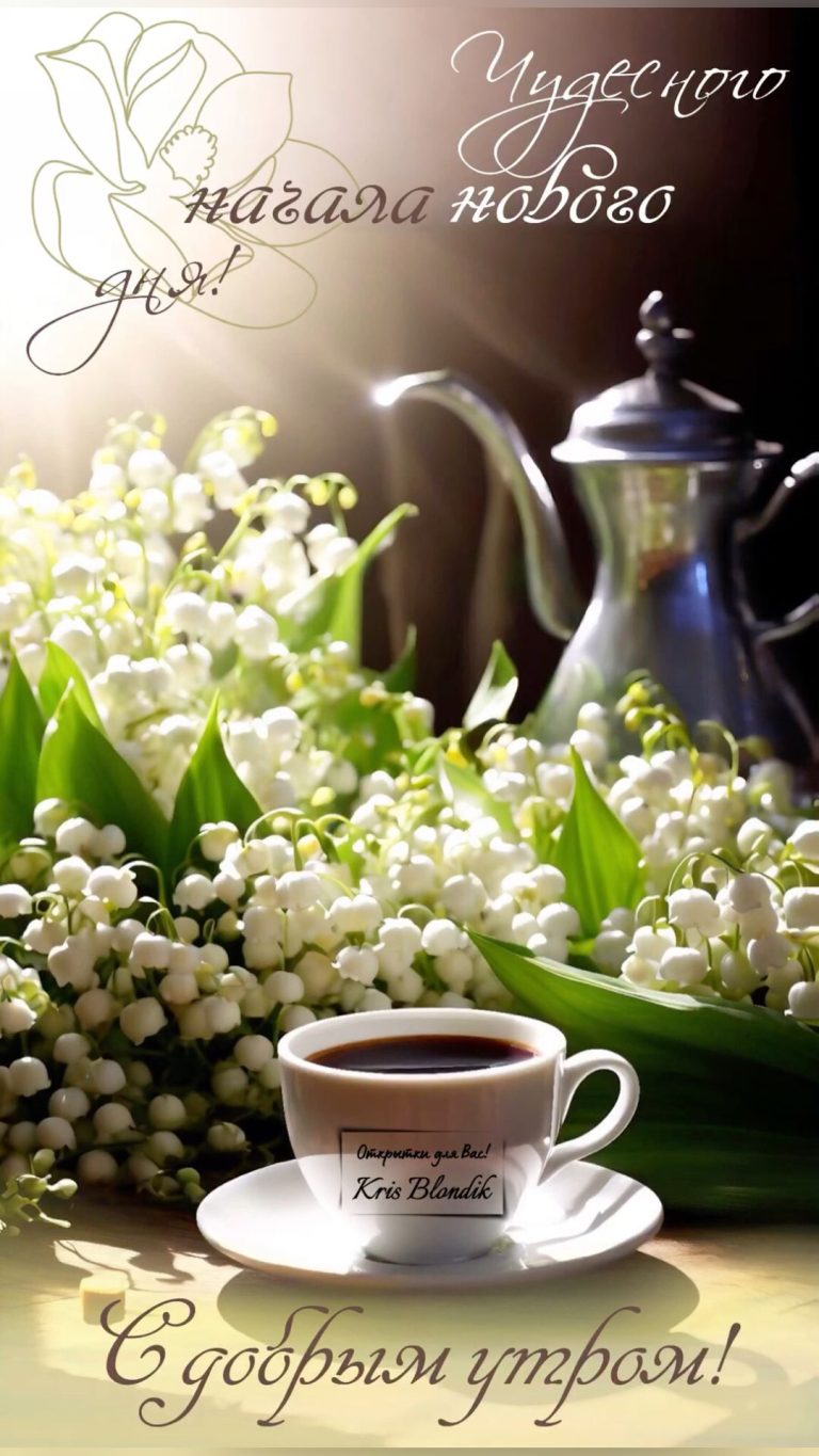 С добрым утром!☕️🌼 С добрым утром!☕️🌼