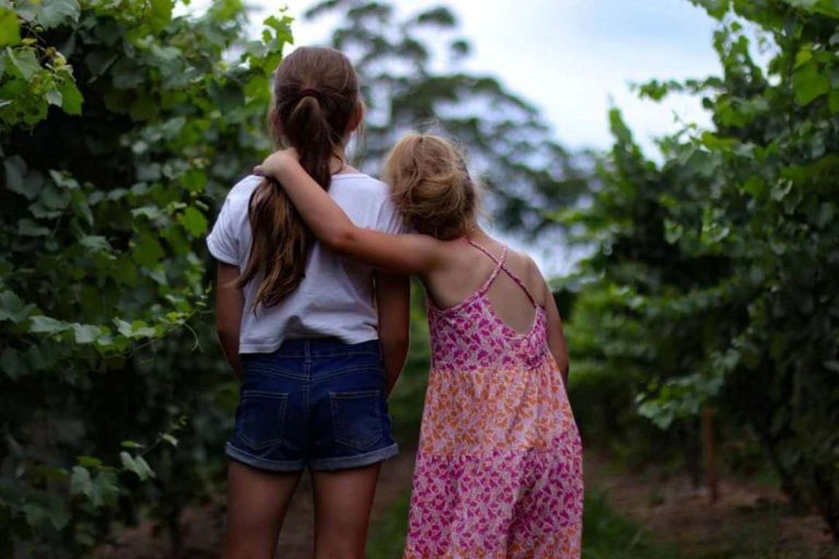 How Masterly Inactivity Protects Sibling Relationships – Afterthoughts How Masterly Inactivity Protects Sibling Relationships – Afterthoughts